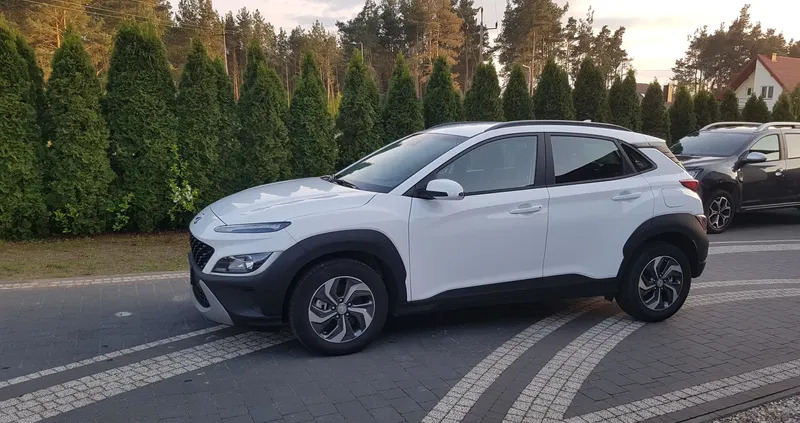 świętokrzyskie Hyundai Kona cena 68200 przebieg: 7500, rok produkcji 2023 z Jędrzejów